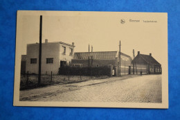 Beersse : Tapijtenfabriek. Rare - Beerse