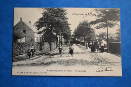 Calmpthout 1904: Wandeling Achter De Statie - Promenade Très Animée. Rare. Top Carte. - Kalmthout