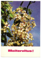 May 9th Greetings, Cherry Blossom, Tallinn Soviet Estonia 1975 Unused Vintage Postcard. Publisher Eesti Raamat - Estonie