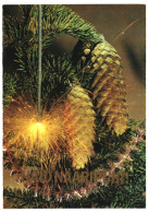 Happy New Year! Fir Cones, Sparkler 1981 Unused Vintage Postcard. Publ: Soviet Estonia Communist Party, Tallinn - Estonie