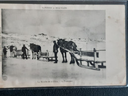 ILES SAINT PIERRE ET MIQUELON - La Récolte De La Glace - Le Transport - Saint-Pierre-et-Miquelon