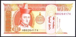PM MONGOLIA PAPER MONEY UNC - Mongolei