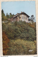 8AK460 AUX ENVIRONS DE CHATEAUNEUF LA FORET L'AUBERGE DU MAROC SON BOIS DE SAPIN  2 SCANS - Chateauneuf La Foret