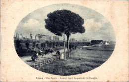 12-11-2023 (2 V 5) Italy (very Old) Via Appia In Rome (tree) - Arbres