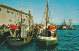 Fishing Boats At Town Pier, Provincetown, Cape Cod, Massachusetts  Tape Marks On Back - Cape Cod