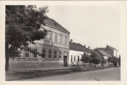 POSTCARD 945,Yugoslavia,Serbia,Bačka Topola - Yougoslavie