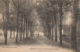 ARTENAY : PROMENADE DU PARADIS - Artenay