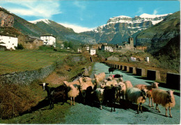 TORLA - (HUESCA - PirineoAragones) - Vista General - Altri & Non Classificati