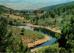 ESPAÑA - EL TIEMBLO (AVILA) - Pantanas Trucheros De San Gregorio - Ávila