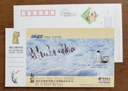 Antarctic Penguin,China 2006 Hubei Telecom Value-added Business Center Advertising Pre-stamped Card - Fauna Antártica