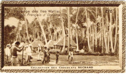 Wallis Futuna Carte Postale Chromo Paysage Cocotier Coconut Case Collection Chocolats Suchard Neuve BE - Brieven En Documenten