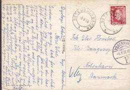 Norway PPC Fra Setedal. Volkstrachten. Mittet & Co. Ambulant Railway SETEDALSBANEN 1956 Brotype KØBENHAVN F. Denmark - Covers & Documents