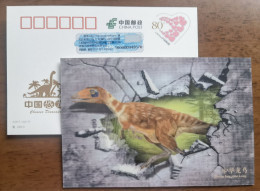 Sinosauropteryx Prima Dinosaur,China 2017 Chinese Dinosaur 3D Raster Advertising Pre-stamped Card - Fossils