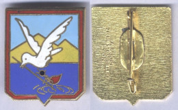 Insigne De L'Escadrille Aérienne De Recherche Et De Sauvetage 99 - Armée De L'air