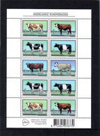 Nederland NVPH 2973-78 V2973-78 Vel Nederlandse Rundveerassen 2012 Postfris MNH Netherlands Fauna Cows - Neufs