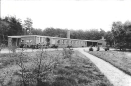 Ermelo Dennenheul Vakantiepension Voor Blinde Gasten 1971 - Ermelo