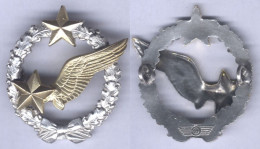 Insigne Du Brevet D'Elève Pilote ( 41 Mm ) - Airforce