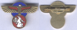 Insigne De L'Escadron De Bombardement 1/93 - Guyenne - Armée De L'air