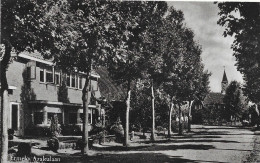 Ermelo Azalealaan  1954 - Ermelo