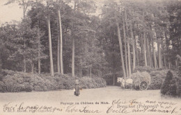 BRASSCHAAT POLYGONE 1905 HOOIKAR PAARD PAYSAGE AU CHATEAU DU MICK - HOELEN KAPELLEN 311 - Brasschaat