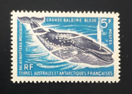 TAAF 1966 Yv 22 Baleine Whale MNH - Neufs