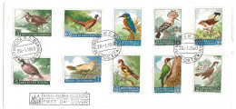 SAINT MARIN ENVELOPPE  PREMIER JOUR  OISEAUX 10 TIMBRES - Lettres & Documents