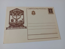 CARTOLINA POSTALE ISOLE ITALIANE DELL'EGEO - NUOVA NON VIAGGIATA - Ägäis