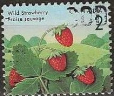 CANADA 1991 Edible Berries - 2c. Wild Strawberry FU - Gebraucht