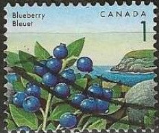 CANADA 1991 Edible Berries - 1c. Blueberry FU - Used Stamps