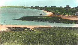 Río San Pedro Puerto Real Cádiz Andalucía Spain 1965 Used Hand Colored Photo Postcard. Publisher: Arribas Zaragoza - Cádiz