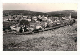 MEIX-DT-VIRTON - Panorama. - Meix-devant-Virton