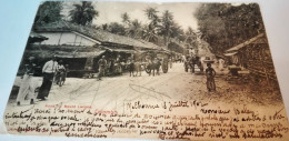 CARTE POSTALE  ROAD TO MOUNT LAVINIA CEYLAN SRI LANKA   1902  (Write On The Verso) - Sri Lanka (Ceylon)