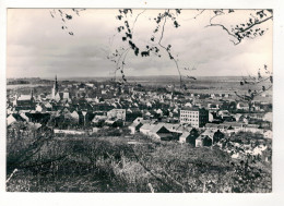 MARCHE-EN-FAMENNE - Panorama De La Ville Pris Des Hauteurs Du "Fond Des Vaux". - Marche-en-Famenne