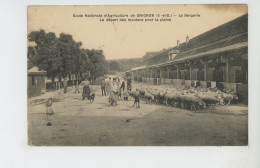 GRIGNON - Ecole Nationale D'Agriculture - La Bergerie - Le Départ Des Moutons Pour La Plaine - Grignon