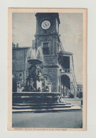 FAENZA:  FONTANA  MONUMENTALE   E  TORRE  DELLA  LOGGIA  -  FP - Faenza