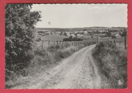 Bertogne - Panorama ... Du Village - 197? ( Voir Verso ) - Bertogne