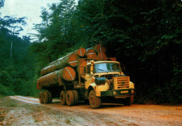 REPUBLIQUE DU GABON GRUMIER - Gabon