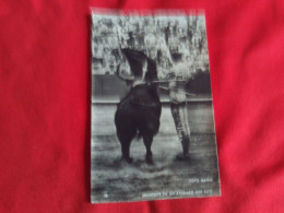 Delcampe - BELLE CARTE .."MANOLETE EN UN AYUDABO POR ALTO" ...foto MATEO .. - Stierkampf