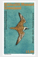 Greenland / Groenland - Postfris / MNH - Migratory Bird Day 2023 - Nuovi