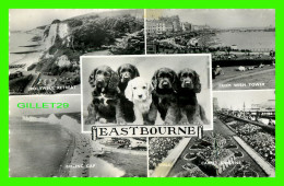 EASTBOURNE, SUSSEX DE L'EST, UK - 5 MULTIVUES - TRAVEL IN 1968 - SHOESMITH & ETHERIDGE LTD - - Eastbourne