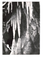 HOTTON - Grotte - Stalactites Et Stalagmites. - Hotton