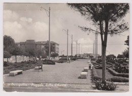 SENIGALLIA - PIAZZALE DELLA LIBERTA' F/GRANDE VIAGGIATA 1956 ANIMAZIONE - Senigallia