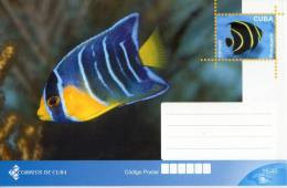 Lote TP32,  Cuba, 2011, Entero Postal, Postal Stationary, Pez, Fish, Fauna Post Card - Cartoline Maximum