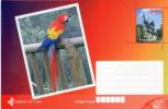 Lote TP32-4,  Cuba, 2011, Entero Postal, Postal Stationary, Guacamaya, Macaw, Bird, Fauna Post Card - Maximumkaarten