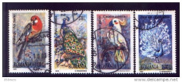 ROMANIA 1999 : BIRDS - PARROTS & PEACOOKS 4 Used Stamps #309324534 - Registered Shipping! - Usati