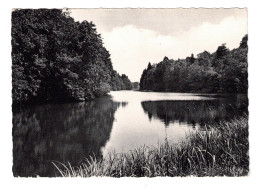 HABAY-LA-NEUVE - L'étang Du Chatelet. - Habay