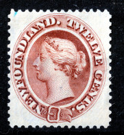 NEW FOUNDLAND  1866  12C  UNUSED - 1865-1902
