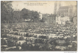 Delcampe - _ik184: -CHOULET- Marché Aux Boeufs Du Samedi ( Un Des Plus Fort De France). - Cholet
