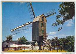 Pk261: Lijstermolen Op De Rodeberg (Westouter)..... - Heuvelland