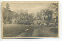 England Post Card  Hampshire, Cottages At Swan Green , Lyndhurst - Unusual View - Portsmouth